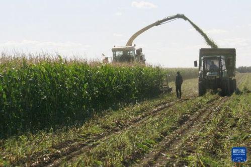 黑龙江农场爆料视频最新  第3张
